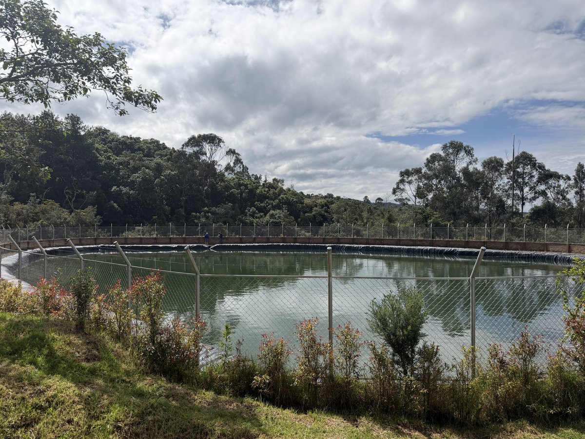 Alfred_Balle's tweet photo. Nos anticipamos al fenómeno de El Niño fortaleciendo la seguridad hídrica de nuestro territorio. Hoy contamos con 25 Bancos Municipales de Agua (BAMA), que nos permiten almacenar cerca de 300 mil metros cúbicos de agua para responder a sequías, apoyar acueductos rurales, atender incendios forestales y proteger la sostenibilidad de las actividades agropecuarias. 

Prepararnos antes de la emergencia es la mejor forma de cuidar el agua y garantizar el bienestar de nuestras comunidades. #LaCARactúa
