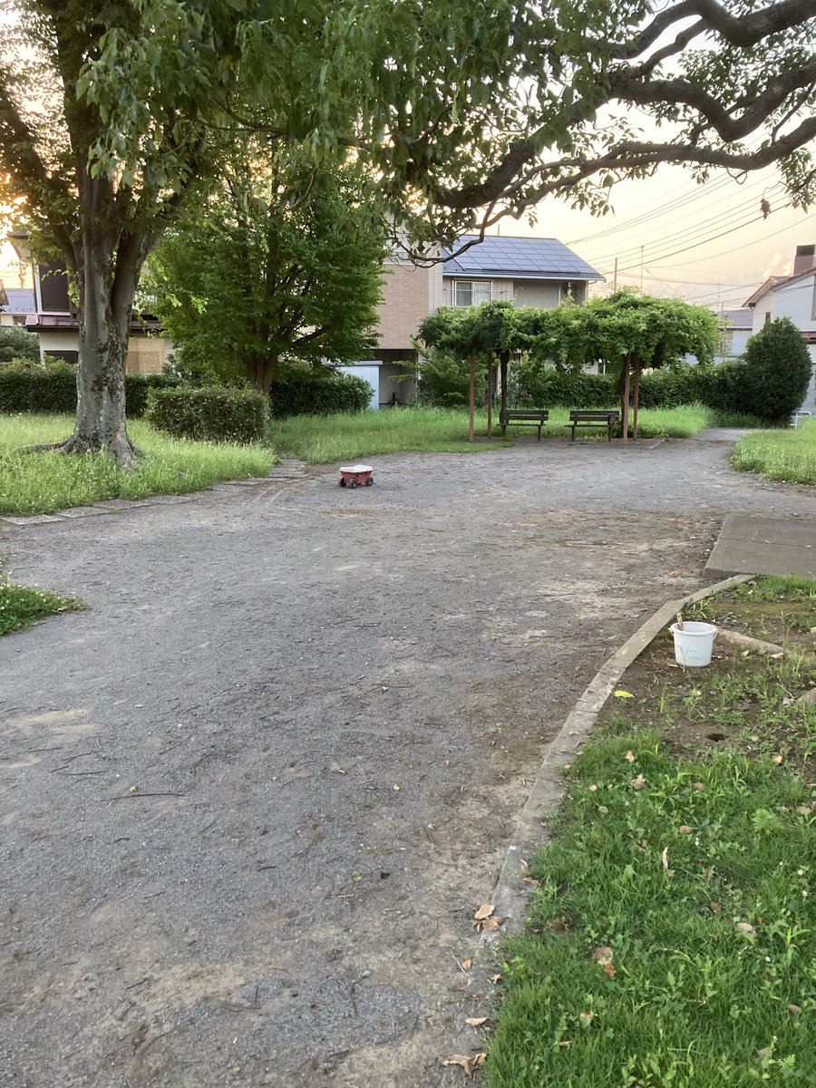umasoann's tweet photo. 指を深く切ってしまったため公園の草むしりを休んでいたところ、かなり雑草が伸びており、大量の蚊に刺されながら草むしりをしました。
黒柴キキを連れてドッグランに行きましたが、暑すぎて途中で帰りました。
#公園　#草むしり
#勝手にボランティア
#マリーゴールド
(草むしり前)       (草むしり後) https://t.co/4yviB2l6fF