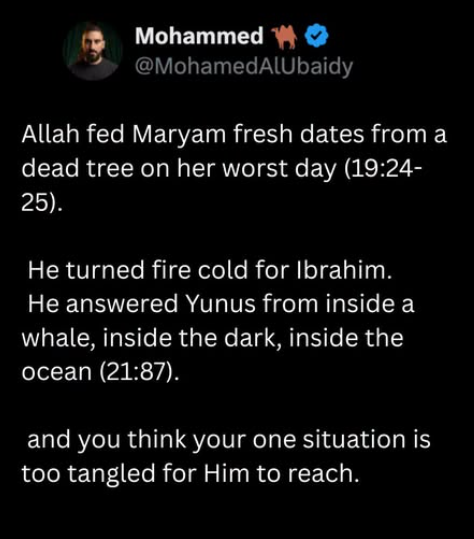 LilyFayed's tweet photo. Allah is great! https://t.co/uN45F43NzI
