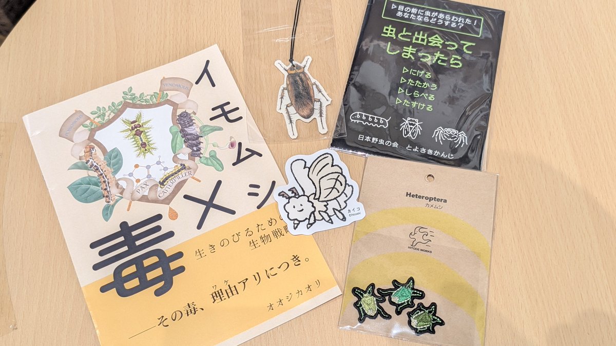 TAKE_NOKO_648's tweet photo. ホクホクです☺️

@Mt_SwordFish 　@SouNoda　のおかげです🙏ありがとうございます🙏

#博物ふぇすてぃばる収穫祭
#博ふぇす収穫祭 https://t.co/aEZK7hCfAz