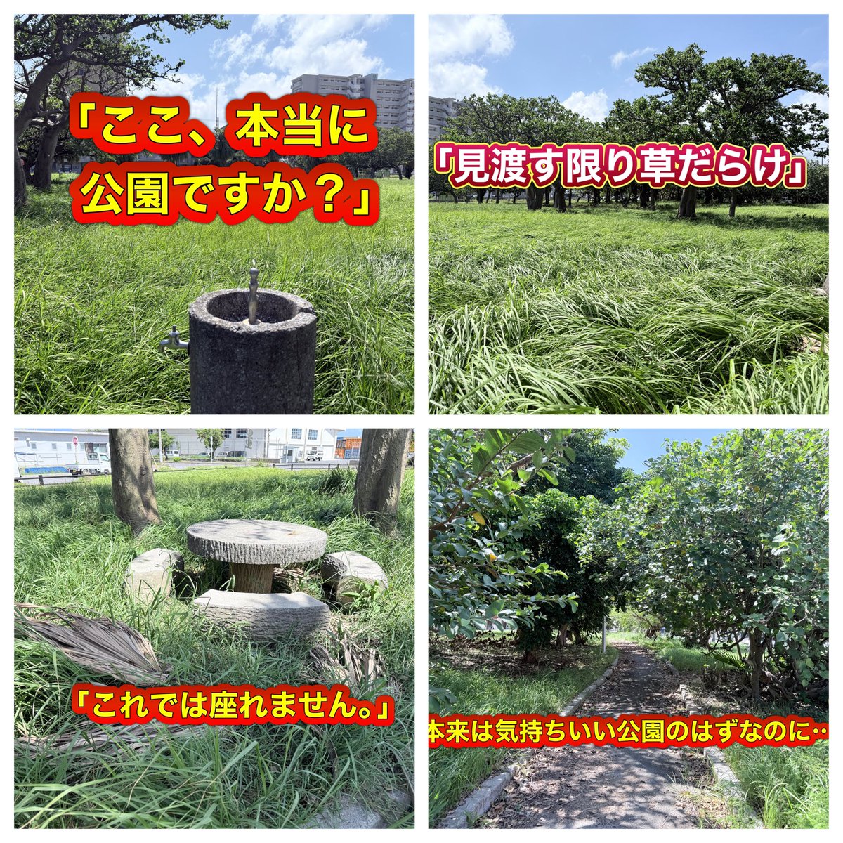 StarsMisaki's tweet photo. 浜崎緑地公園を見てきました。

正直、言葉を失いました。

草は人の膝ほどまで伸び、

ベンチは座りにくい状態。

水飲み場は蛇口がなく、水も出ません。

そして一番驚いたのが、多目的トイレ。

「故障中・使用禁止」

の貼り紙があり、利用できない状態でした。

多目的トイレは健常者だけのものではありません。

車椅子の方、高齢者、小さなお子さん連れなど、多くの人が必要とする設備です。

近隣住民の方からは、

「引っ越してきた時から壊れていた。もう10年以上になると思う。」

という声も聞きました。

もし事実なら、とても重い問題です。

さらに、公園周辺には放置されているように見える車両もありました。

私は、

「利用者が少ないから後回し」

という考え方ではないと思っています。

むしろ逆です。

公園が荒れているから、

人が来なくなる。

人が来なくなるから、

さらに荒れていく。

そんな悪循環になっているように感じました。

しかもこの場所は、

ホテルやヨットハーバーにも近く、

石垣島を訪れる方が最初に目にする場所の一つです。

さらに隣には水道局があります。

例えば、

水をテーマにした子どもたちが遊べる公園など、

地域の特色を生かした場所にもできるはずです。

子どもたちも、

障がいのある方も、

観光で訪れた方も、

気持ちよく利用できる公園になってほしい。

そう願っています。

担当課にも状況を確認してみようと思います。

そして、こう言いたい…

「市民が毎日使う場所こそ、税金を優先して使ってほしい」

#石垣島
#浜崎緑地公園
#石垣市
#みんなの公園
#子どもたちの未来