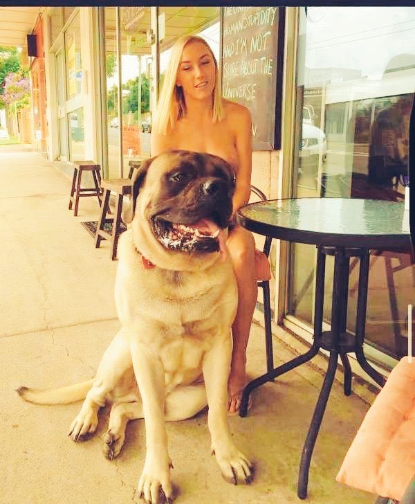 Angela401859's tweet photo. New week new watch !
Ask for more &amp; get the pleasure 🔞🔗🐴🐶❤️🥵
Telegram DM: https://t.co/CHALT53Lik

SUB TO CHANNEL: https://t.co/AcUvIl0u5T…

#beastiality #beastmode #zoophilia #k9mom #k9love #etobicoke #horseslut #dogslut https://t.co/QQ4SOuqqpJ