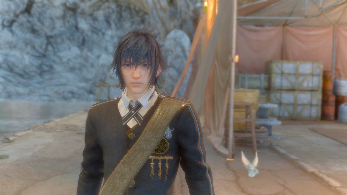 DailyNoctis_'s tweet photo. https://t.co/SznVP2ar9Z