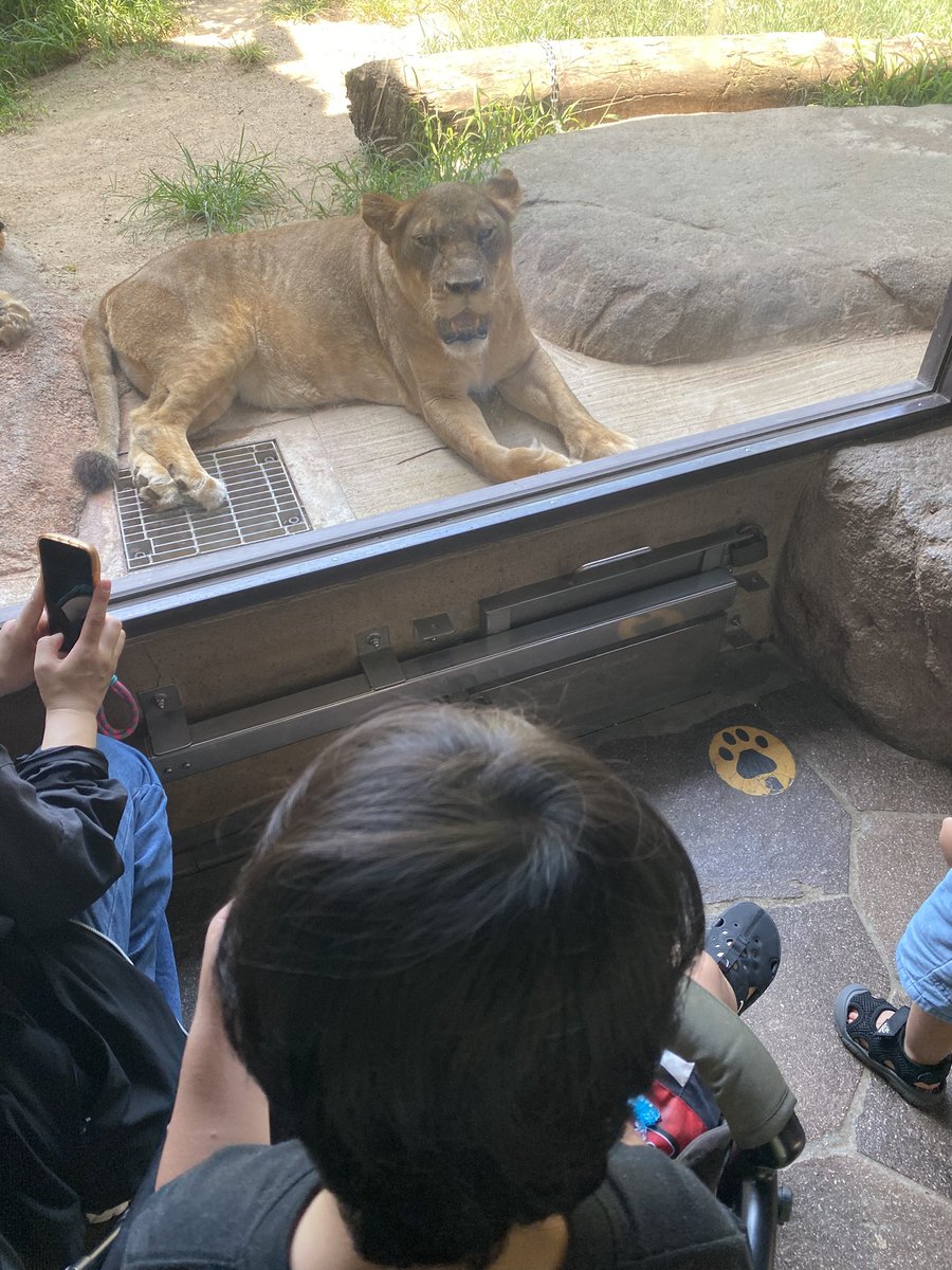 Okayama1017's tweet photo. とうまと天王寺動物園‼️

激暑💦

汗が止まらんかった https://t.co/QbiZZJtvJE
