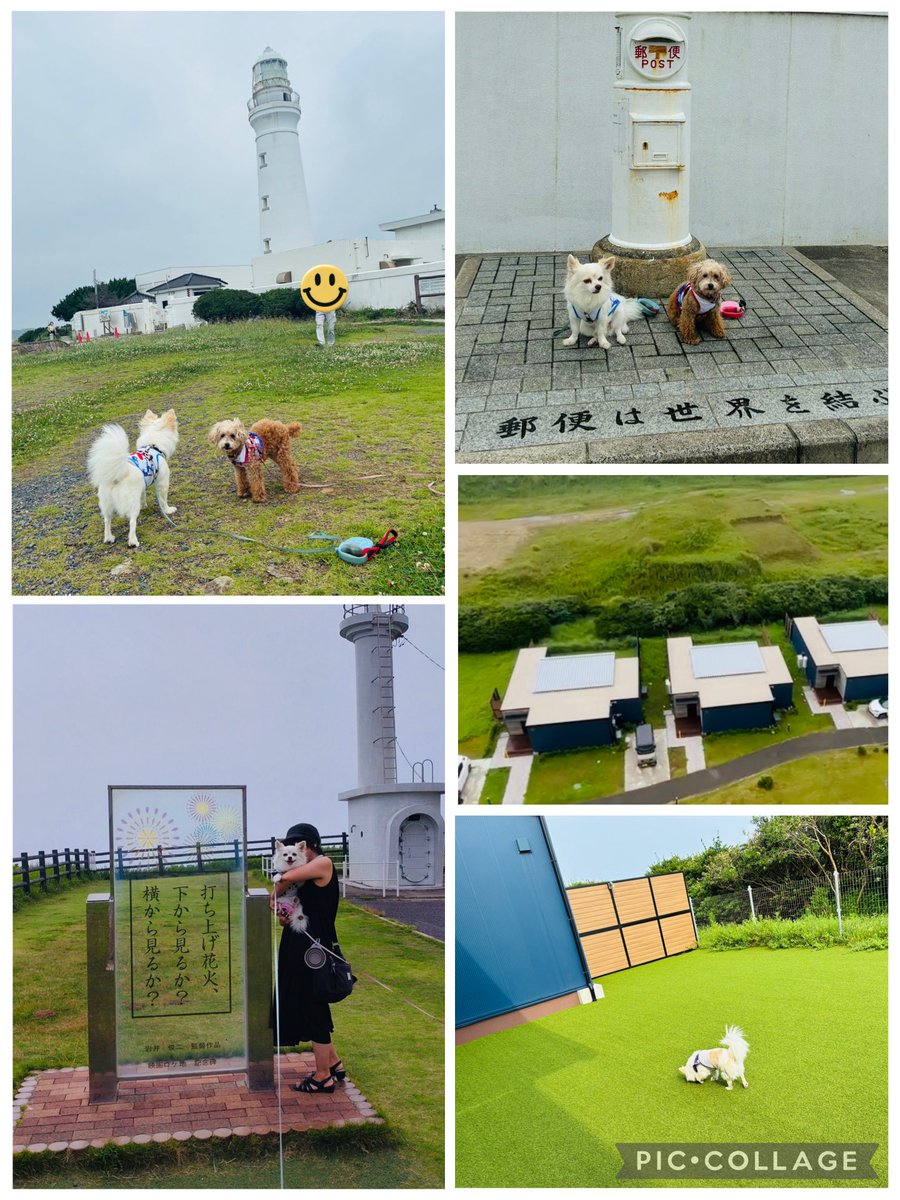 mintfam1's tweet photo. 親戚8名で千葉旅行🚗

宿は
 #亀の井ホテル九十九里 

犬はヴィラ
灯台、白いポスト、崖、海
観光楽しんだワン🐶

銚子にある
 #ハーブガーデンポケット
 さんでランチ

素敵なお店😍
ラベンダー摘み💜
300円で20本 
犬用サメ🦈ジャーキーもGET

 #銚子セレクト市場  の
 #醤油ソフト おすすめ！ https://t.co/9He4VYFVMk