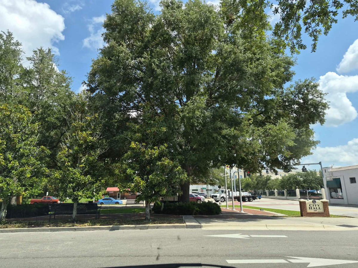 Aaron4fl6's tweet photo. Campaigning 101:

@ElectBilzerian team scheduled a protest outside of @RepFine ‘s 3 offices

1st DeLand
2nd Belleview
3rd Bunnell

(All pictures taken today 7/20 during posted protest times 8AM-2PM)

This is how momentum is built. 🤣🤣🤣🤣🤣 https://t.co/iKFPAx7vz8