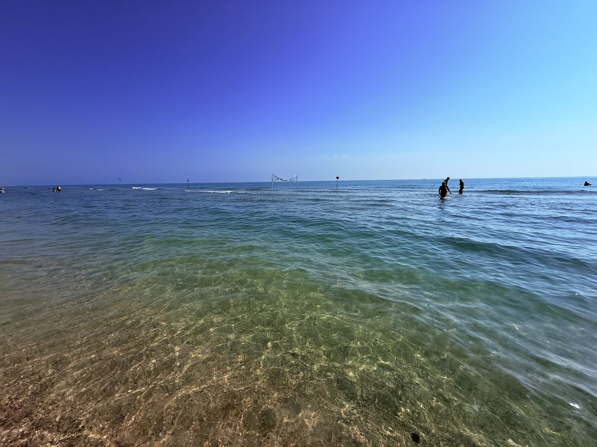 evo_roberto's tweet photo. @eli_flamm Daije, al mare anche io https://t.co/6CoLQZYMKa