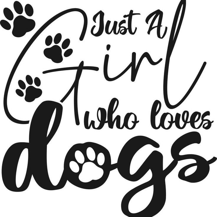 InvestorFx66954's tweet photo. My loyal best friend, my adventure buddy, and my daily dose of happiness. Every day is better with you by my side. ❤️🐶"
Click on my Click in my link for my new content 👇👇
https://t.co/vQFzoyiV1A

#zoo #z00phile #zootwt #zoophiletwt #k9 #knotty #k9girls #knotty #knottygirls https://t.co/hRMIA20eCY