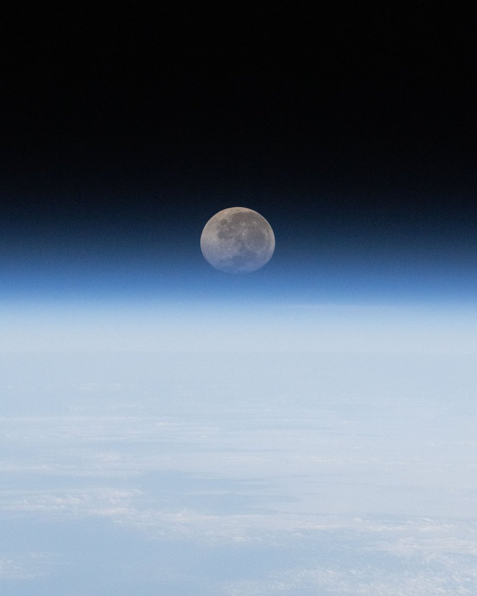 Soph_astro's tweet photo. Jour 157, orbite 2435 — Cette Lune qui nous inspire et nous réconforte depuis toujours éveille également notre curiosité. Il y a cinquante-sept ans, l’humanité y faisait ses premiers pas grâce à l’équipage d’Apollo 11. Alors que nous nous préparons à y retourner pour établir une présence durable, la Lune devient un tremplin pour les prochaines grandes aventures spatiales de l’humanité.
Allez Artemis ! 🚀🌙

📸 @esa / @NASA – S. Adenot

#εpsilon • @esaspaceflight • @Space_Station • @NASAJohnson • @NASAArtemis • @ESA_fr • @CNES