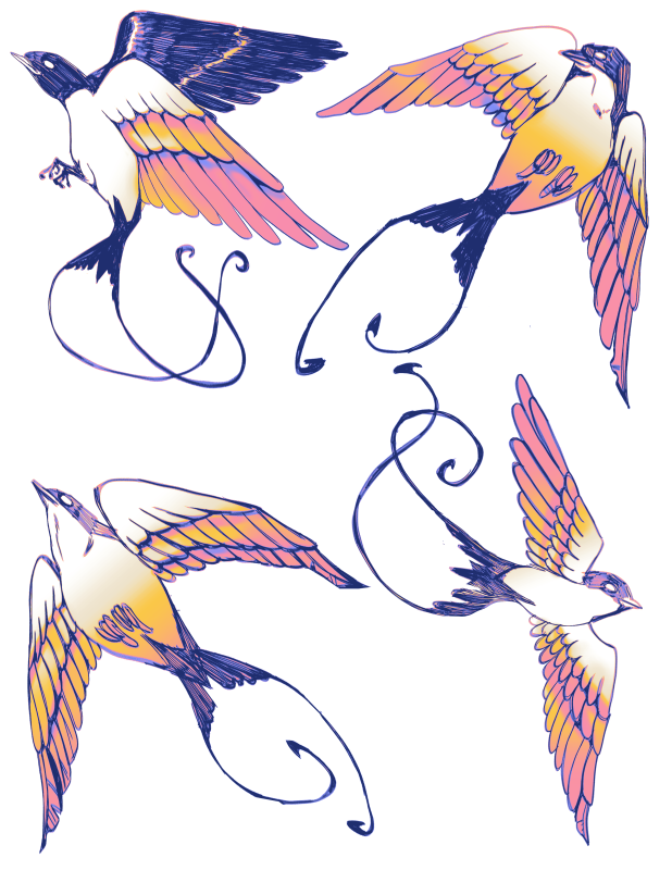 aliumfungus's tweet photo. when you see a bird flying
why don't you fly with it? https://t.co/zq4iusS0iQ