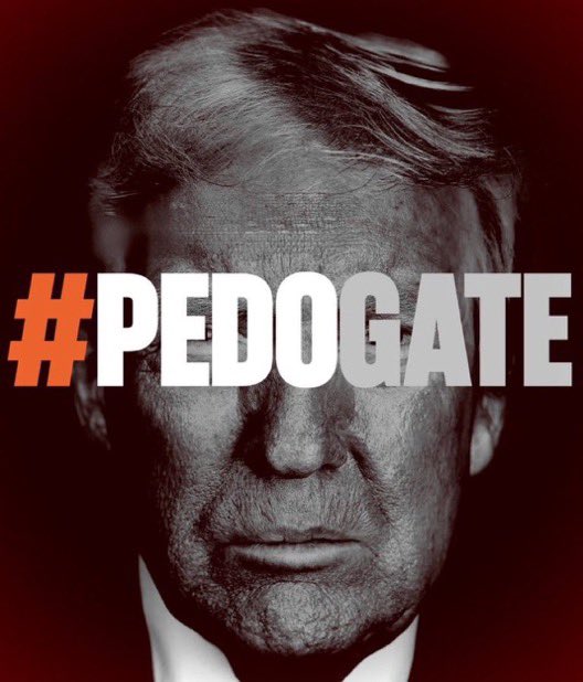 davidpsdem's tweet photo. @NotHoodlum DEFINITELY 👍🏻  #LockTrumpUp 
#TrumpEpsteinPedoCoverUp 
#PedoGate https://t.co/qnmC1T5bKt
