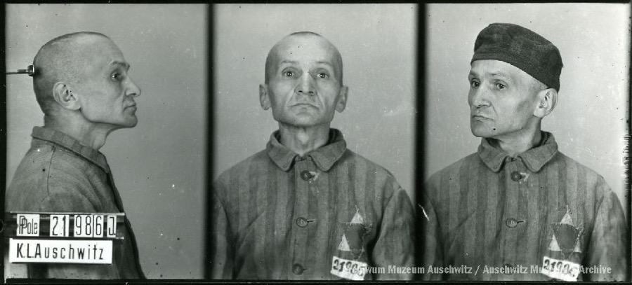Auschwitz Memorial tweet media
