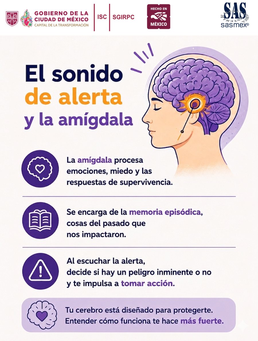 SASMEX's tweet photo. El sonido del Sistema de Alerta Sismica Mexicano (SASMEX) no sólo alerta nuestros sentidos; también activa la amígdala cerebral para protegerte.

#sismos  #SASMEX #AlertaSísmica #ProtecciónCivil #Neurociencia https://t.co/howOus3pvG