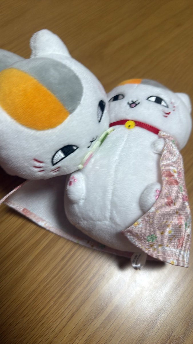 NaomGc9's tweet photo. 旅行から帰ったニャンコ先生が
洗われてたwww

心なしか綺麗になっていい匂いがするwww https://t.co/wTVhms7bEv