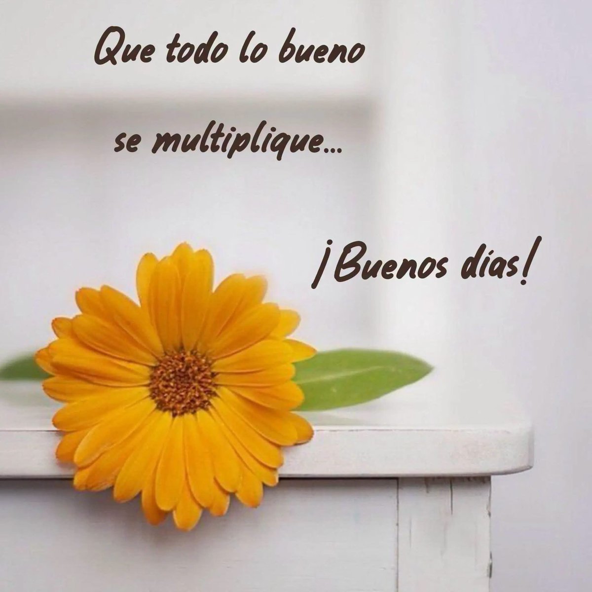 kindness is free ❤️ Mari 🥰 tweet media