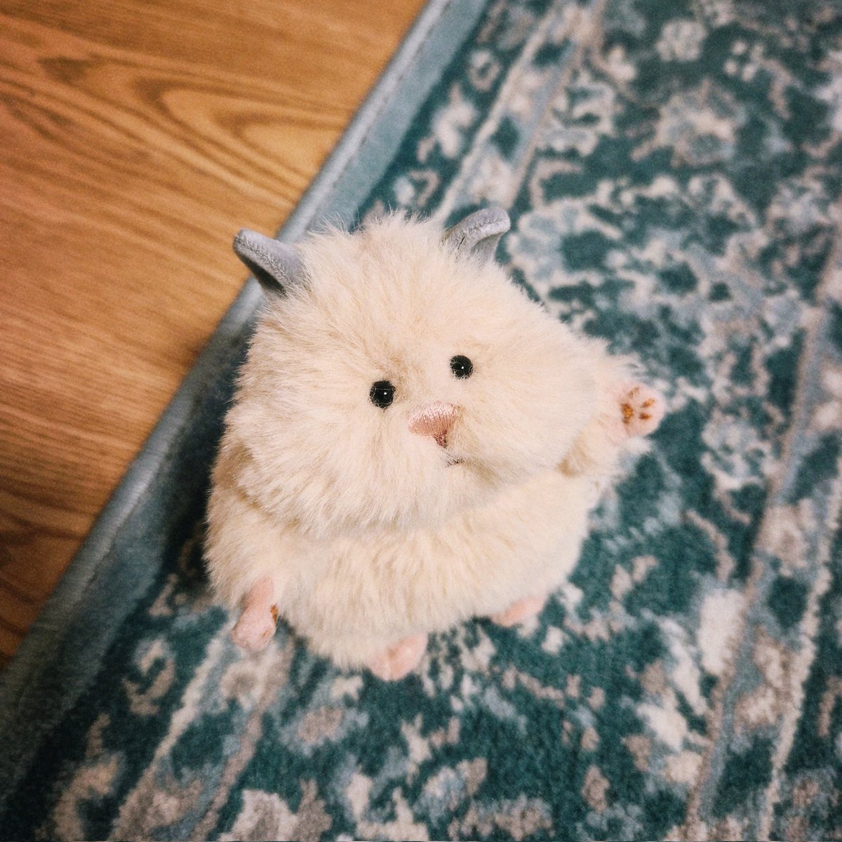 odekake_taft's tweet photo. はむにぎりのきなこちゃん🐹 https://t.co/BQi8l2CVLJ