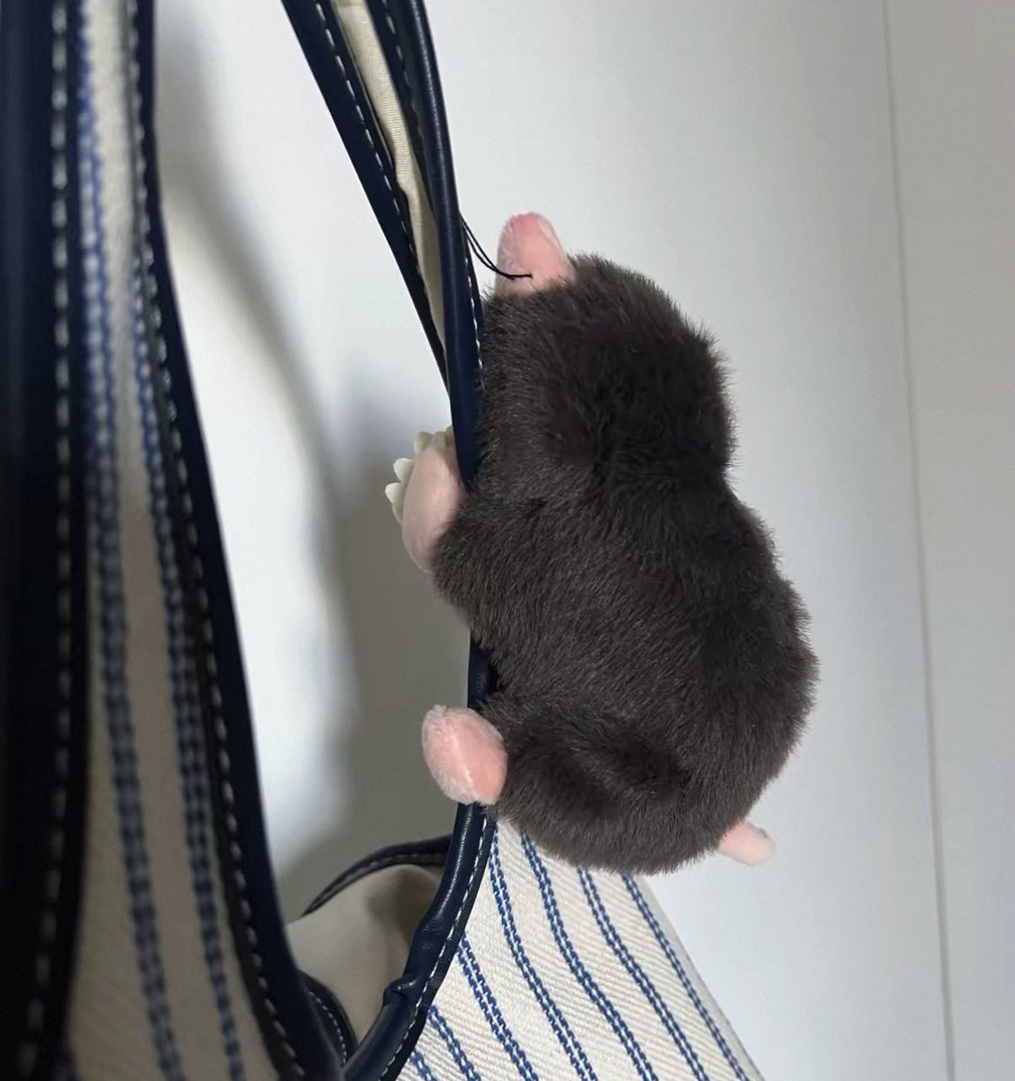 RiRisomsom's tweet photo. 바부같은 두더지를 잡아 가방에 달기.. ◠ ̫◠

(손에 강력한 자석이 있어요!) https://t.co/HewA5WiEKo