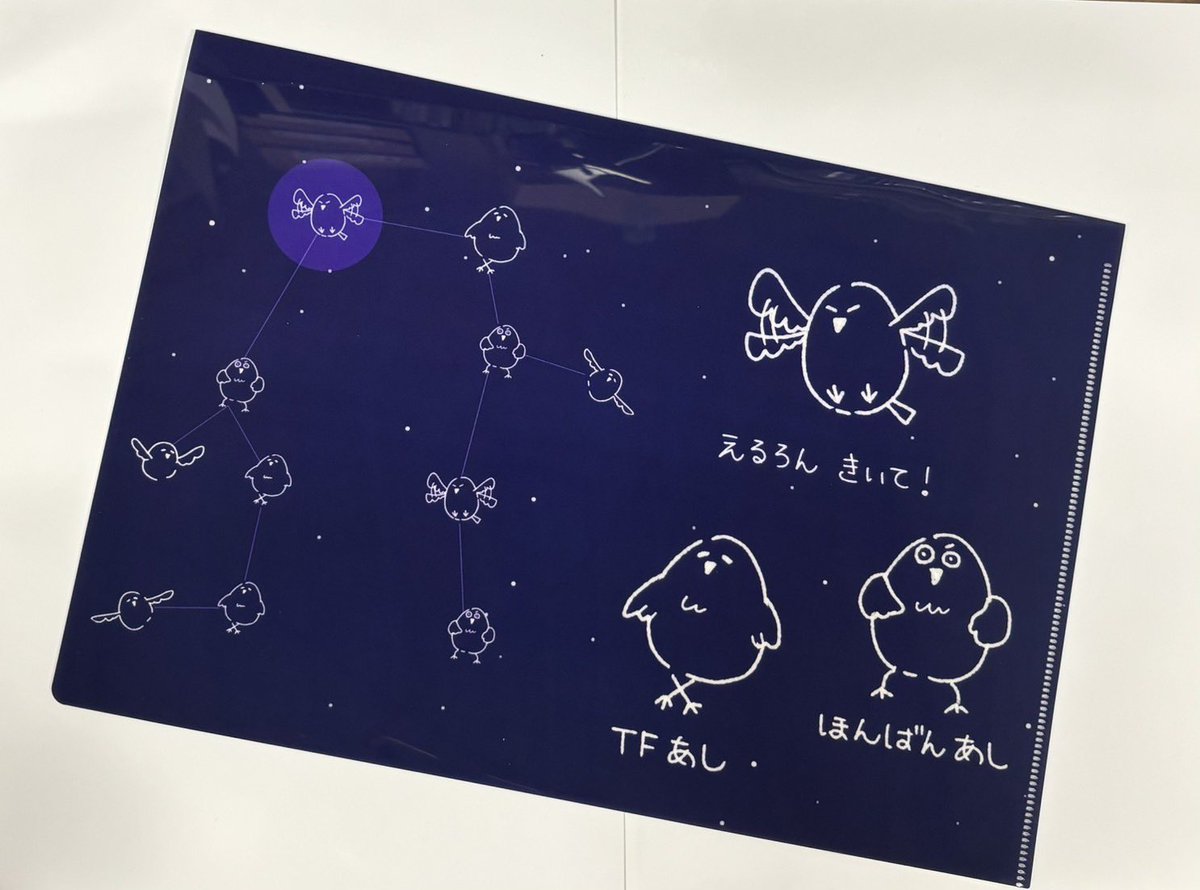 nu_aircraft's tweet photo. 【告知】
私たちの新グッズ、星空クリアファイルが登場しました！

ふたご座をモチーフにしていて、1番光っている星が今年の機体名Polluxです✨
1枚500円です。お買い求めの方はえあくら公式XのDMまでお願いします‼︎ポロシャツ・3面図クリアファイルもまだ販売しています‼︎

#AirCraft2026Pollux https://t.co/SmcSPZ28cd