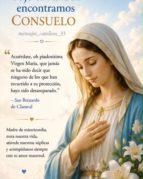 ArmadaRosario's tweet photo. ¡Rezamos por Ti el Santo Rosario! 🙏 
Misterios Gozosos: Oramos por las intenciones que dejes en los comentarios del Video.

¿Cuál es tu petición hoy? La ponemos ante Jesús y María 🙌 

https://t.co/zT6u33J231 . https://t.co/ANdGWWXcHv