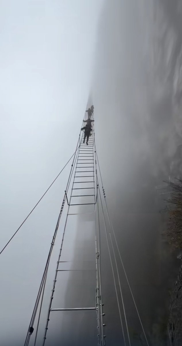 TIMPERICAL's tweet photo. DEATH IS HARDER.    MANY WILL FALL.   NEVER AN ANGEL ONLY DEMONS https://t.co/Wnb5DVX86m