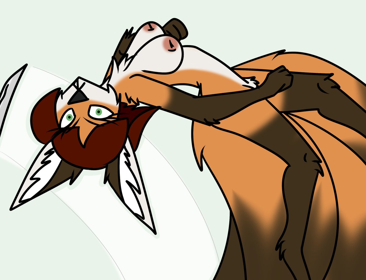 Drog60610845's tweet photo. When you take a shot at the Fox, don't miss. https://t.co/8vNbIivBRl