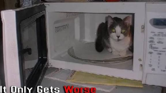 OccupyRedding's tweet photo. Yes They Do and Film This Kind Torture Of Cats In #China Animal Abuse Laws Please - Make It Illegal To Post This Shit Anywhere -Sick Fuckers Get Off On This -Blenders , Microwaves, Toothpicks, Crucifixion, Burning  etc.. Please RePost This For Awareness! 
#JusticeForWangWang https://t.co/N4W0U68gKr