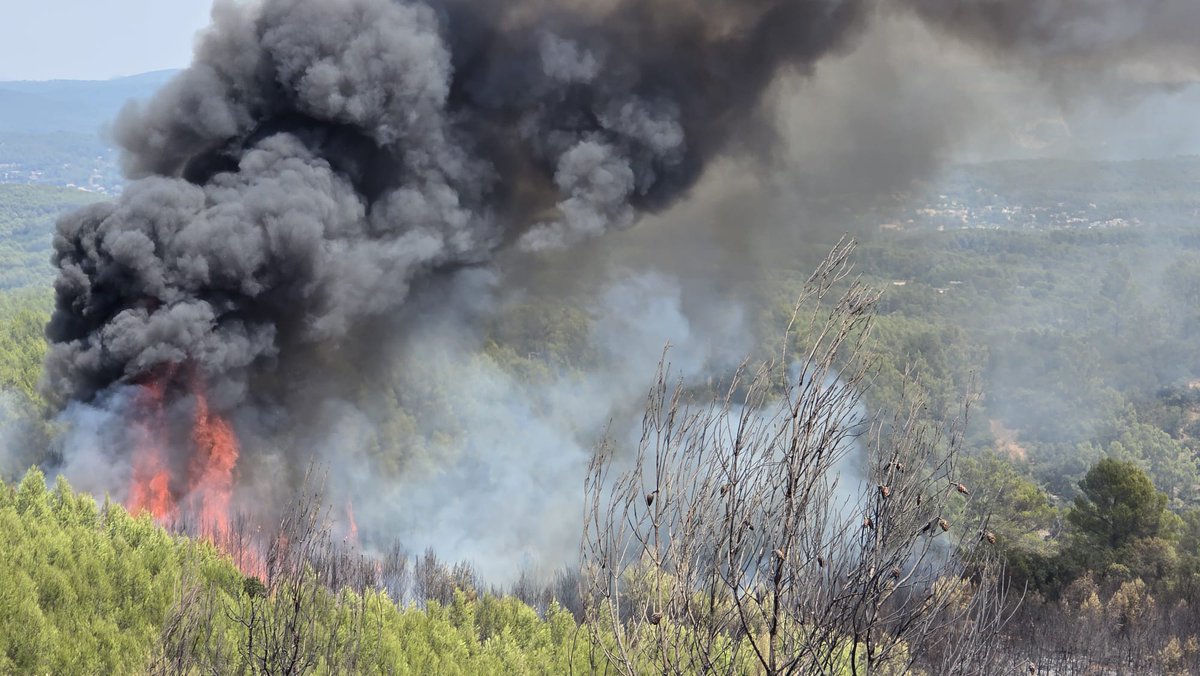 Prefet83's tweet photo. #Feu #Taradeau #LesArcs | Lundi 20 juillet - 15h.
🔥La lutte contre l’incendie est toujours en cours.
➡️A Taradeau, alors que le feu s’est réactivé sur le flanc gauche, 3 canadairs, 2 bombardiers d’eau et un avion DASH attaquent les flammes.
➡️Aux Arcs-sur-Argens, les militaires du 1er RIISC ont ouvert une piste à travers la forêt pour permettre aux sapeurs-pompiers de positionner des moyens de lutte. Elle est désormais opérationnelle.
@SDIS83