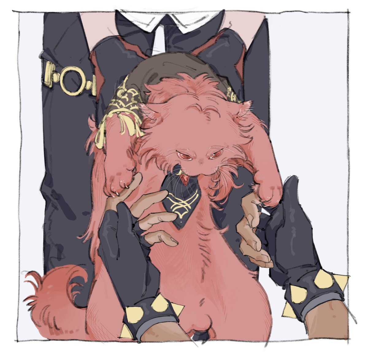 uniuni_nakami's tweet photo. 🐈 https://t.co/h9xVOBruwr