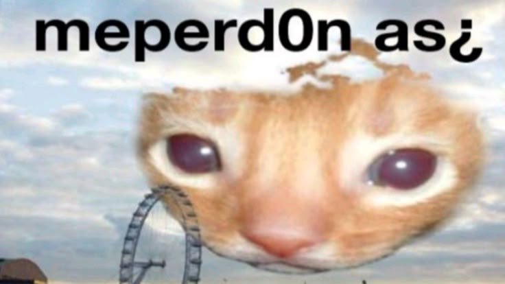 Nico_Brandon11's tweet photo. @thephecy Perdón 😔 https://t.co/1UinMQQJbv