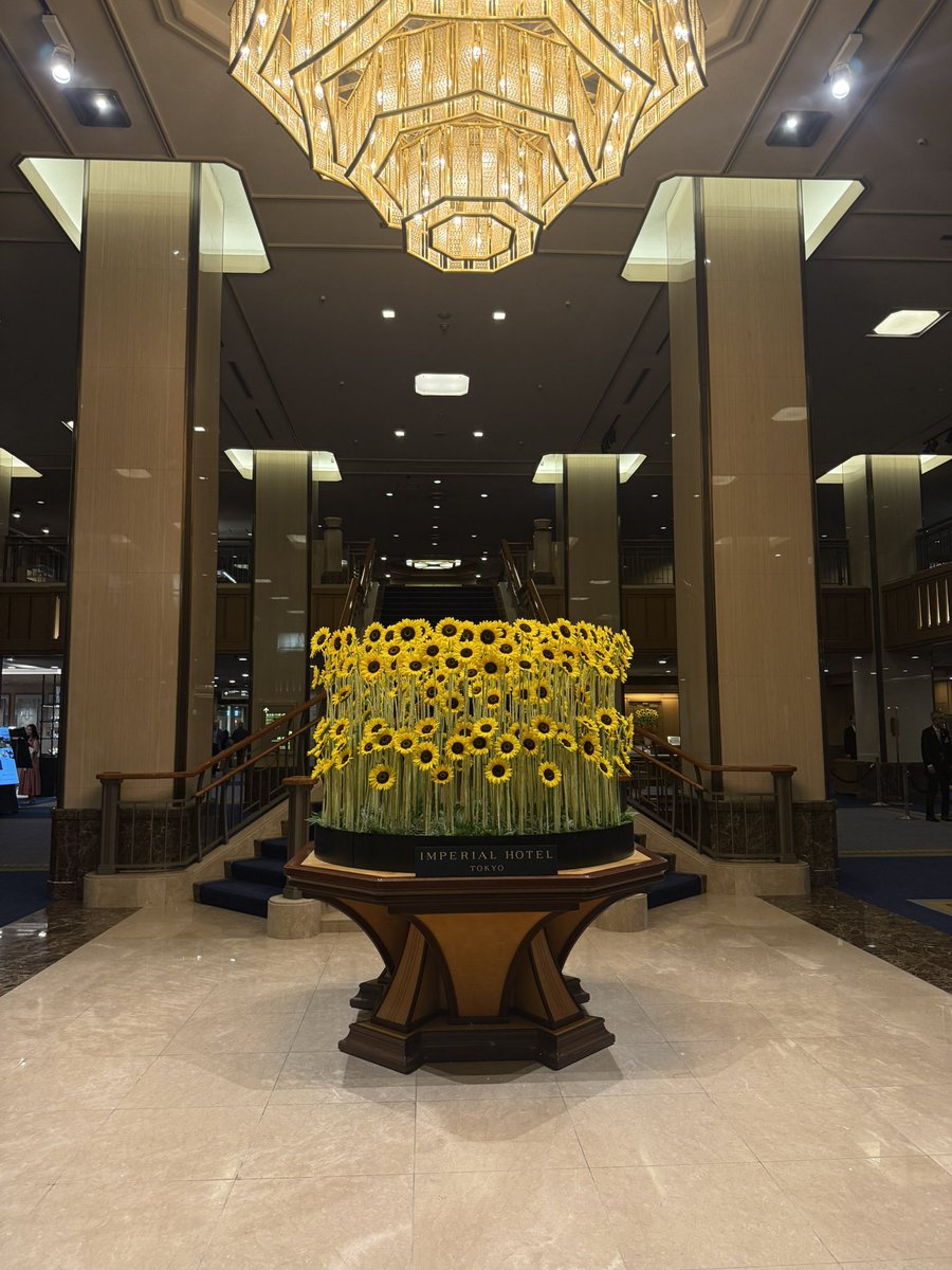 r103sie's tweet photo. 2026.07.19 🌻🤍 https://t.co/yYyC9E77V4