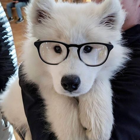 Akpostobwiz's tweet photo. https://t.co/EyoVCijYbc
