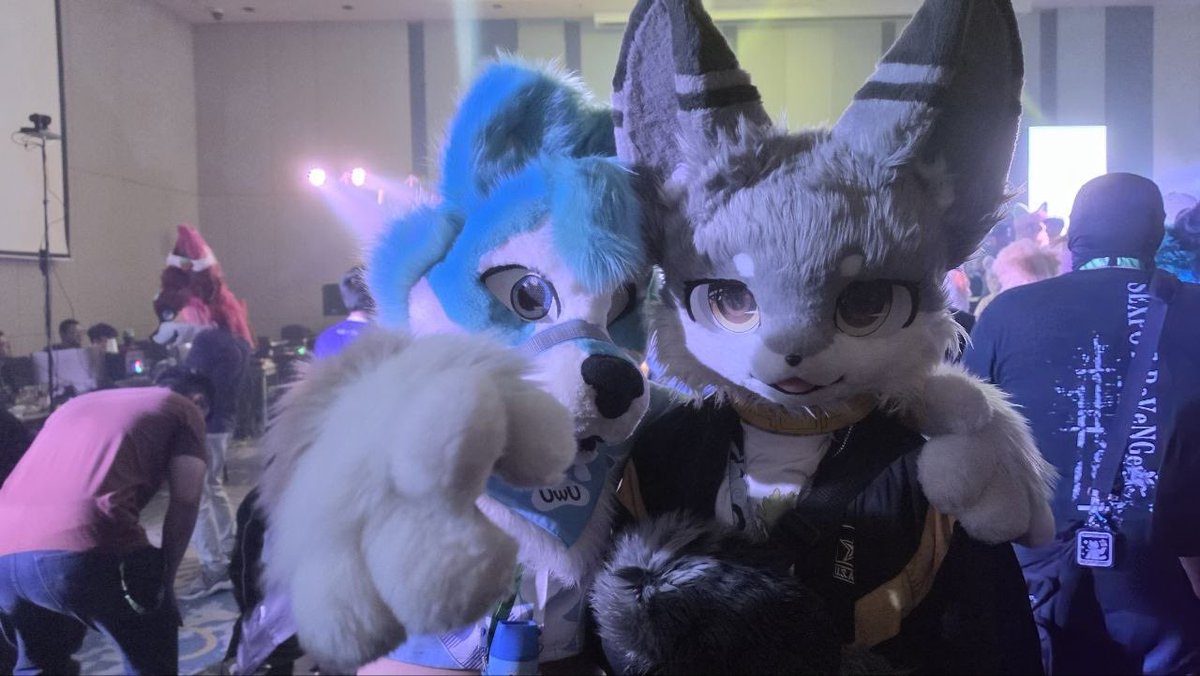 WhiteFangLilWo1's tweet photo. You watching this everyone?! Lets dance as the night is still young~ feat. @ScodreyFur #IWAG2026 #fursuiting photo by @RynerWolf https://t.co/iKRZwLEB3T