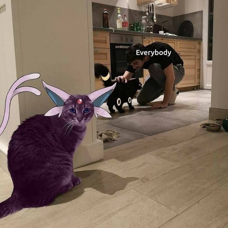 Pokemonpshot's tweet photo. https://t.co/AeCuOjsjxt