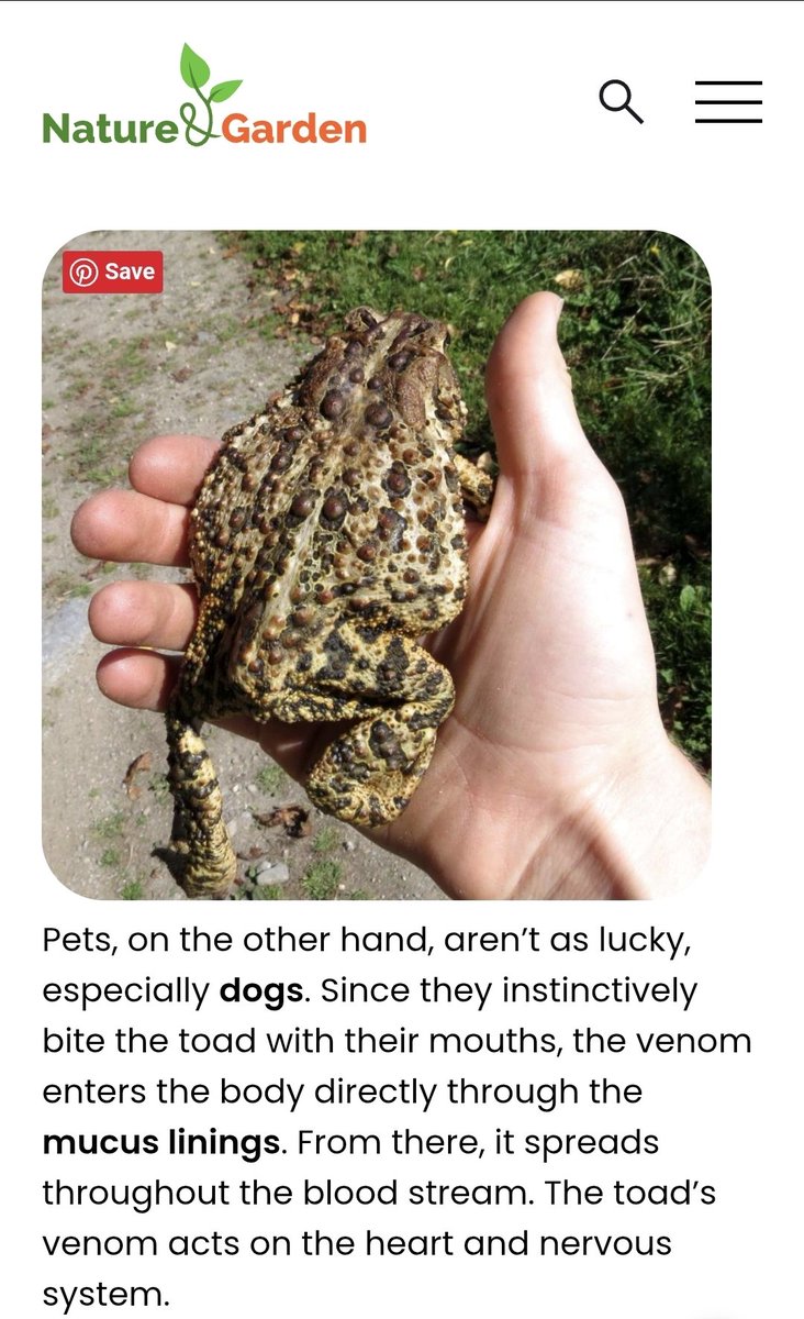 MRpetSanctuary's tweet photo. Good morning. We have an unexpected "child" who refuses to leave the front porch area https://t.co/qEolIjKZnk