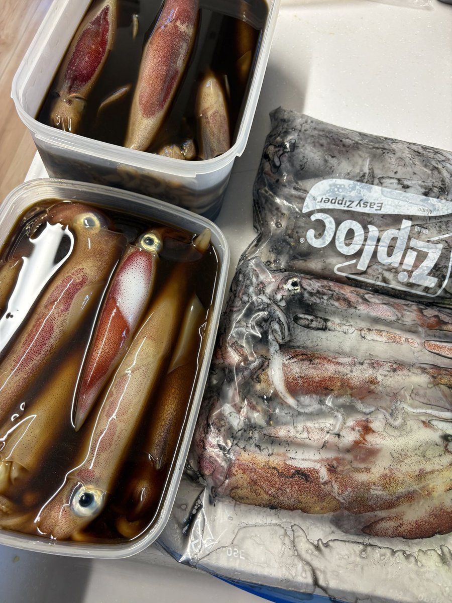 AYAMEnyoROBO's tweet photo. コットン生誕お疲れ様でした〜！！もしたいんですが…。

とりあえず、本日の釣果は

鯖1匹(マグレ)
イカ42杯でした😭

目標の50まであと少しだった…悔しい〜！！😫

シーズン中にもう1.2回行けたら良いなー…😍

新鮮なイカオイルは大変美味でした😌 https://t.co/uDn5PyS3TN
