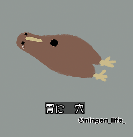 ningen_life_'s tweet photo. 🕳️ https://t.co/9tu85WOcIH