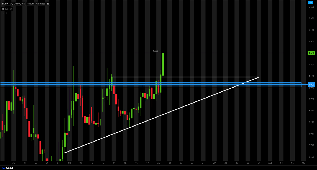 Tiger Line Trading tweet media