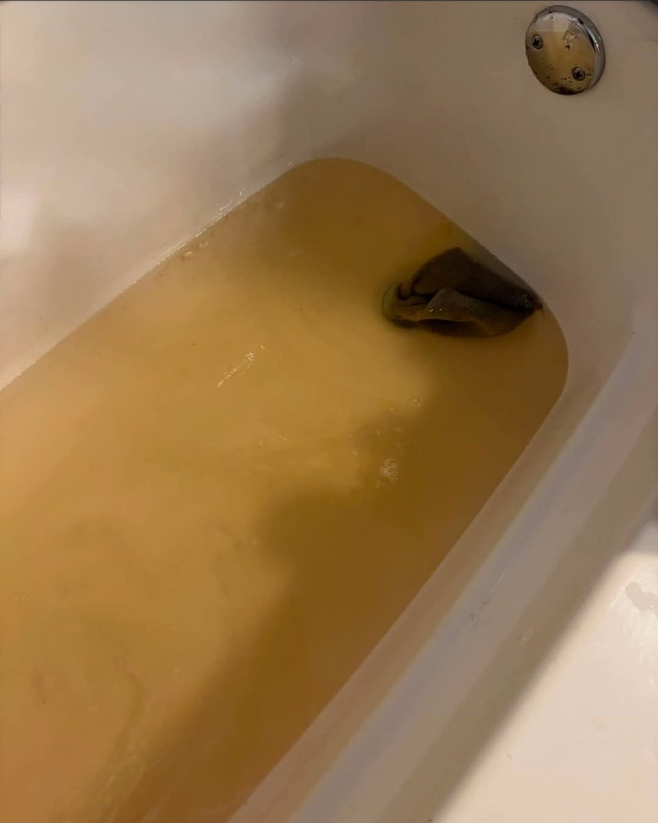 HollerGospel's tweet photo. Same day, different southern West Virginia coalfield counties.
#waterforwv
📸 Tub, Bolt, Raleigh Co, Haley Lively. Burned finger, sink, and light Roy New, Brenton, Wyoming Co. Public water. https://t.co/UNbuPdY4Lx