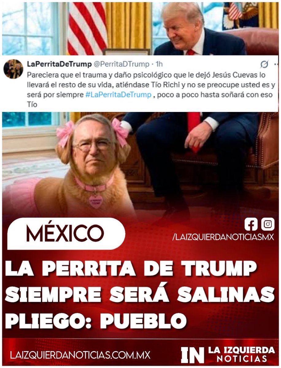 Jesus163429's tweet photo. 🚨 ¡LO RECHAZAN! 

El pueblo confirma que Ricardo Salinas Pliego es La Perrita de Trump por vendepatria. Intentó transferir su apodo pero México lo bautizó así y no se lo quitará.

¿Qué sigue?

De: @IzqNoticiasMx https://t.co/UR4kNNrlbr
