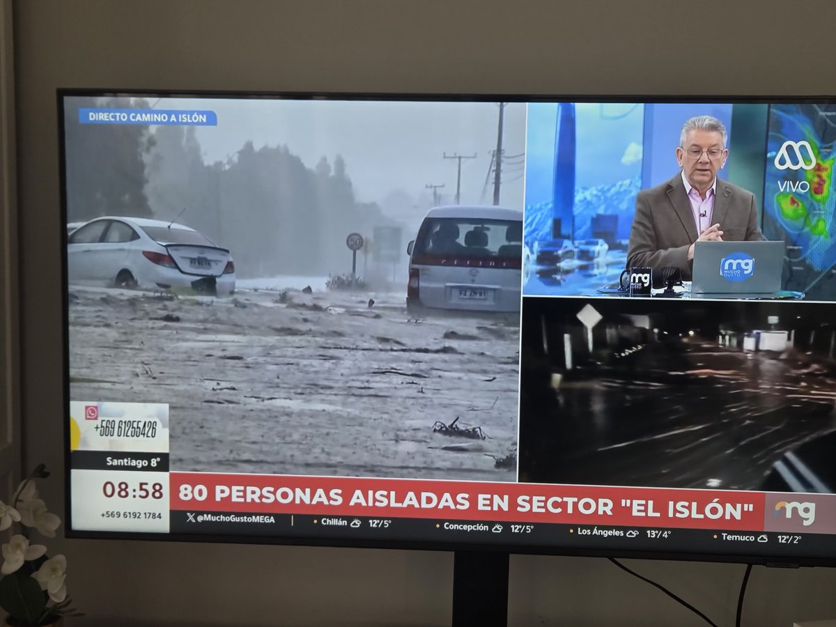 RoberMall2's tweet photo. @Michelle090606 @danimanouchehri DONDE CHUCHA ESTA KAST EL INOPERANTE DE MIERDA DONDE ESTA LA AYUDA.medida.
@joseantoniokast
@min_interior
#muchogustoMEGA
#ContigoCHV #Tudia13 #BuenosdiasTVN
#CnnNews #BBCNewscast #FoxNewsAtNight
#meganoticiascl #T13 #chvnoticias https://t.co/bzE2i8Z8OA