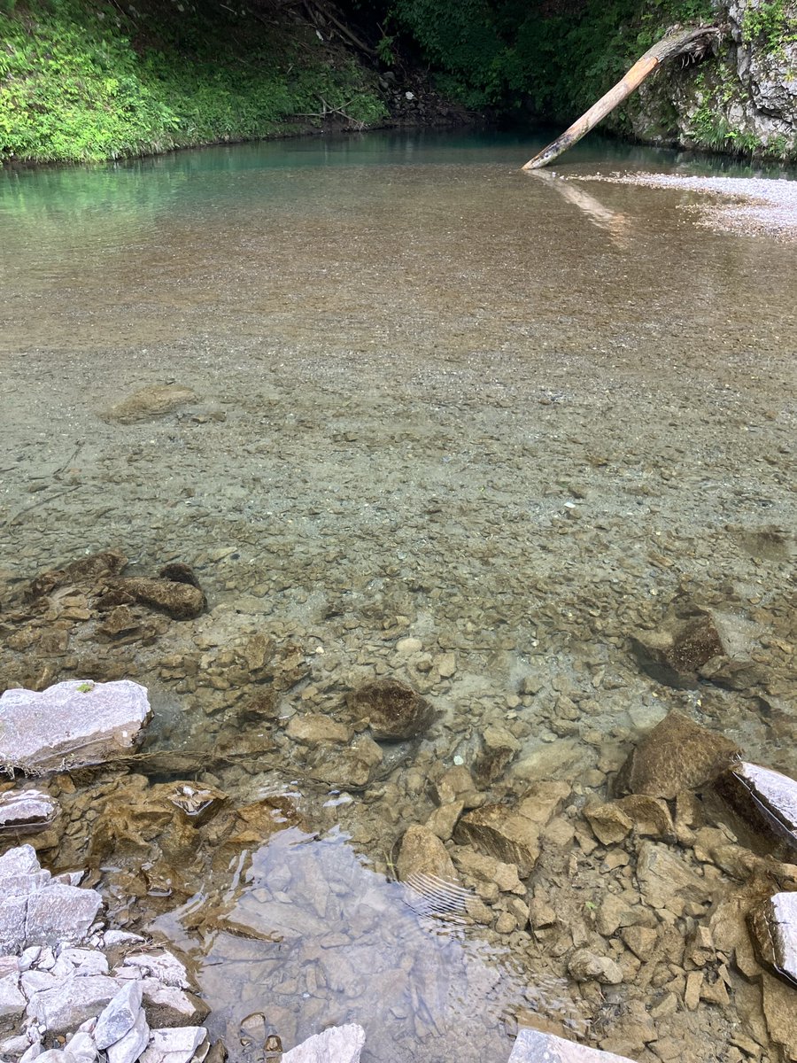 JB23_VSt's tweet photo. 北寺オートキャンプ場で川遊びキャンプ

そこそこ近くてそこそこ川が綺麗で良い感じ

宿泊客しかキャンプ場に入れないから人がごったがえすこともなく、川の流れも穏やかだから子連れキャンプには丁度いい https://t.co/4vKAGQRk0w