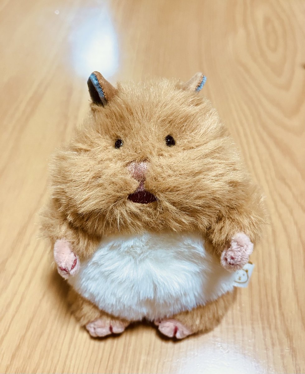 hyoccorin's tweet photo. ﾄﾘﾐﾝｸﾞむつかしい
壊滅的不器用すぎて何が正解かわからん
目が出てきたのでおけ👀✨

#はむにぎり https://t.co/0jHP9uv6q3