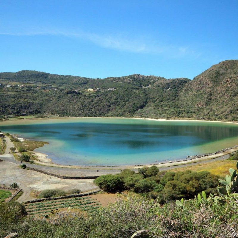 RedazioneDedalo's tweet photo. Tagli ai fondi per le aree protette, Venezia: «Un colpo fatale alla biodiversità siciliana»
https://t.co/M9nFWAzVMH
#Sicilia #Ambiente #Biodiversità #AreeProtette #Pantelleria #ARS #Politica https://t.co/2PcF2AB6Cq