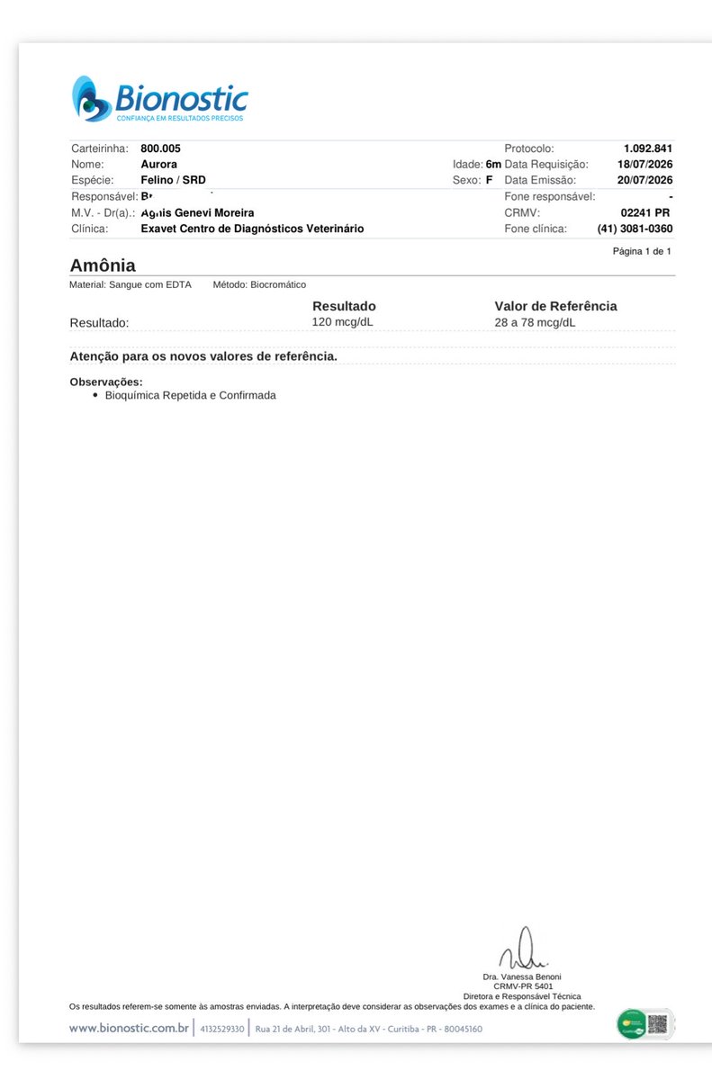 sonzapetsch's tweet photo. saiu o resultado do exame de amônia da Aurorinha! ela ainda está alta.. pode ser isso que está causando as crises! a doutora quer consultar ela amanhã pra pedir mais exames, vou deixar aqui a rifinha atualizada dela 

🔑: auroracalvinha@gmail.com https://t.co/B5c4tj0mPh
