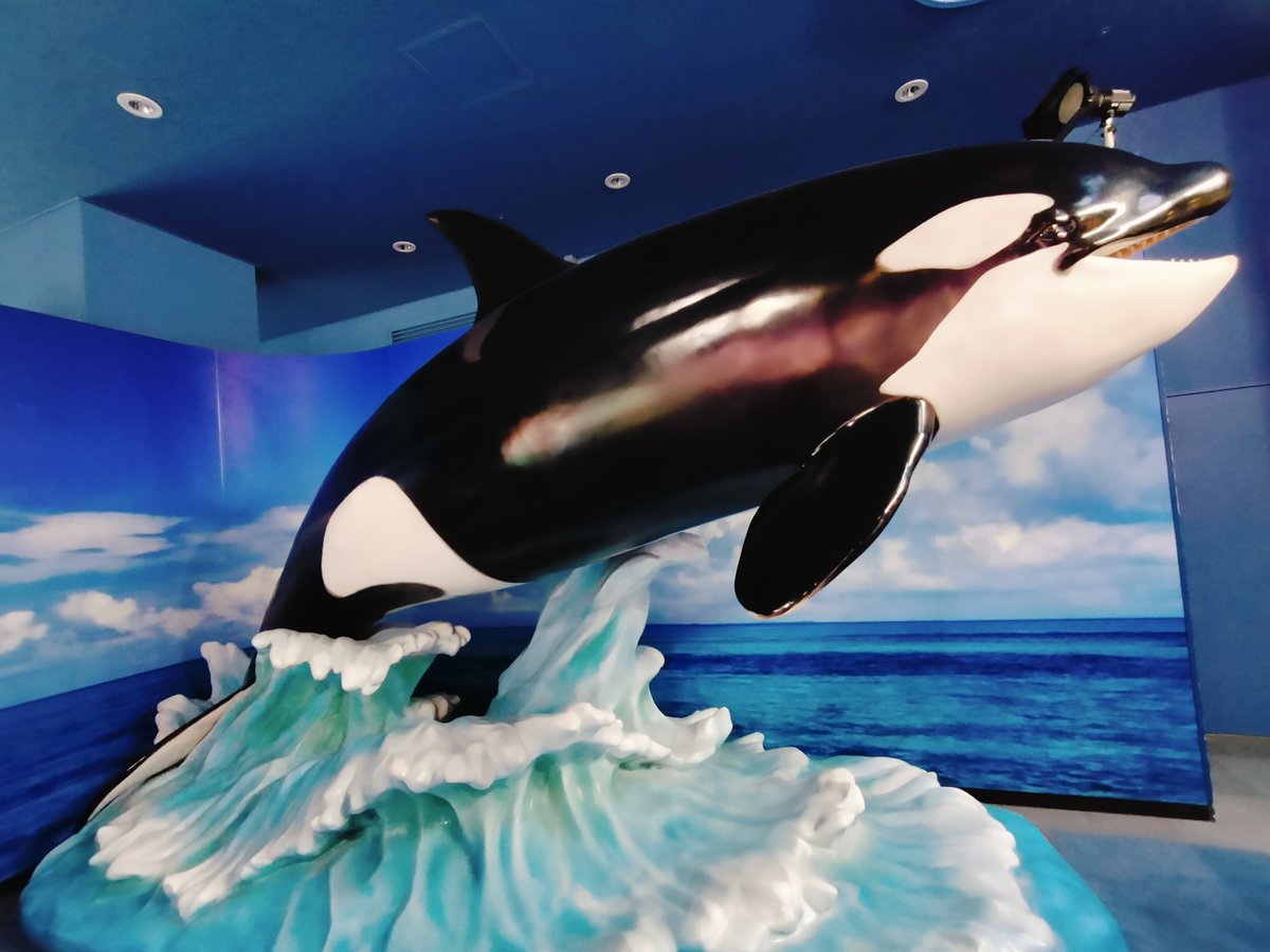 AtareAtareGoGo's tweet photo. 今日は名古屋港水族館へ行ってきたんだけど、
息子っちがペンギン見たからか一日ずっと #ICY 歌ってて可愛かったな〜🥰❤️❤️
ペンギンのエサやりタイム、激しすぎた😳
そして昔の潜水服カッコよすぎて…🤦♀️
めっちゃグッズ展開されてて笑った🤣
#HiromitsuKitayama
#ULTRAaction https://t.co/NxKnJK509u