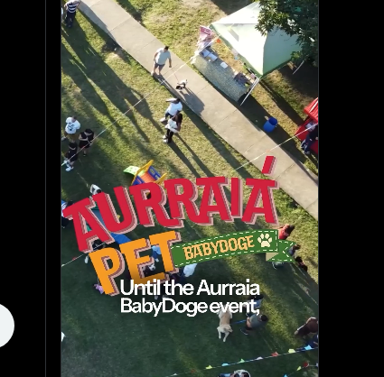 RudolfDang's tweet photo. Charity is called Aurraia Pet and is Part of the Array Animal Rescue service.

0:18 in the video

https://t.co/I2UOndeupa https://t.co/r3gI73wvKH