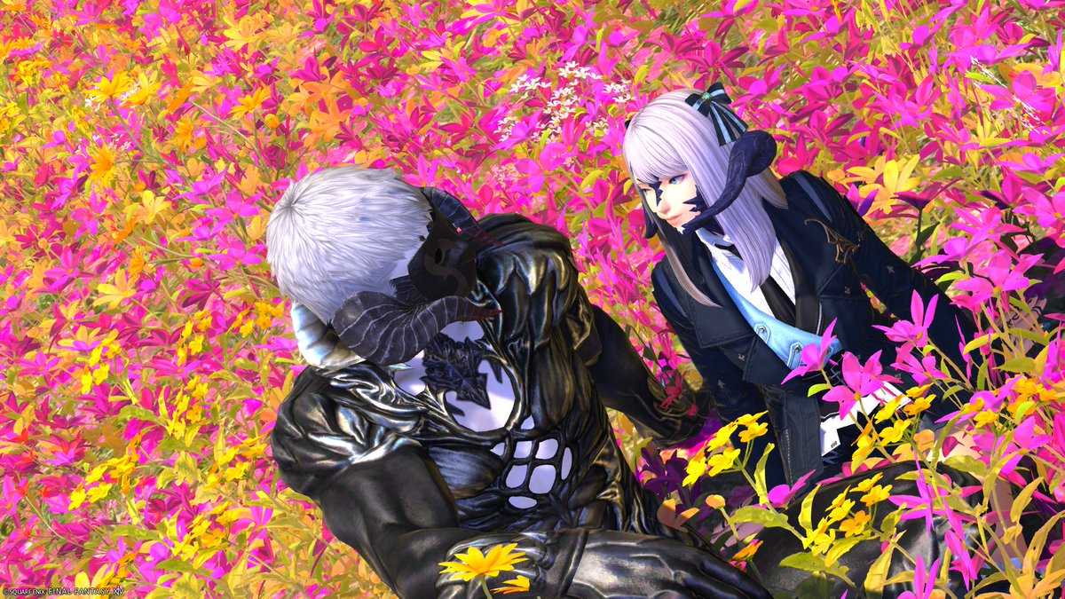 Viola_ff14's tweet photo. DDも行ったり、途中るんるんにパーカー届けたりしつつ
毎日楽しくて嬉しいですね～
おやすみなさい https://t.co/EKOi34rj26
