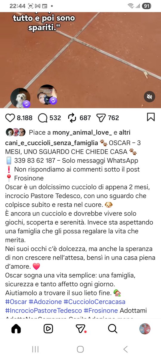 annina_cutillo's tweet photo. https://t.co/Yw08S4L3fJ