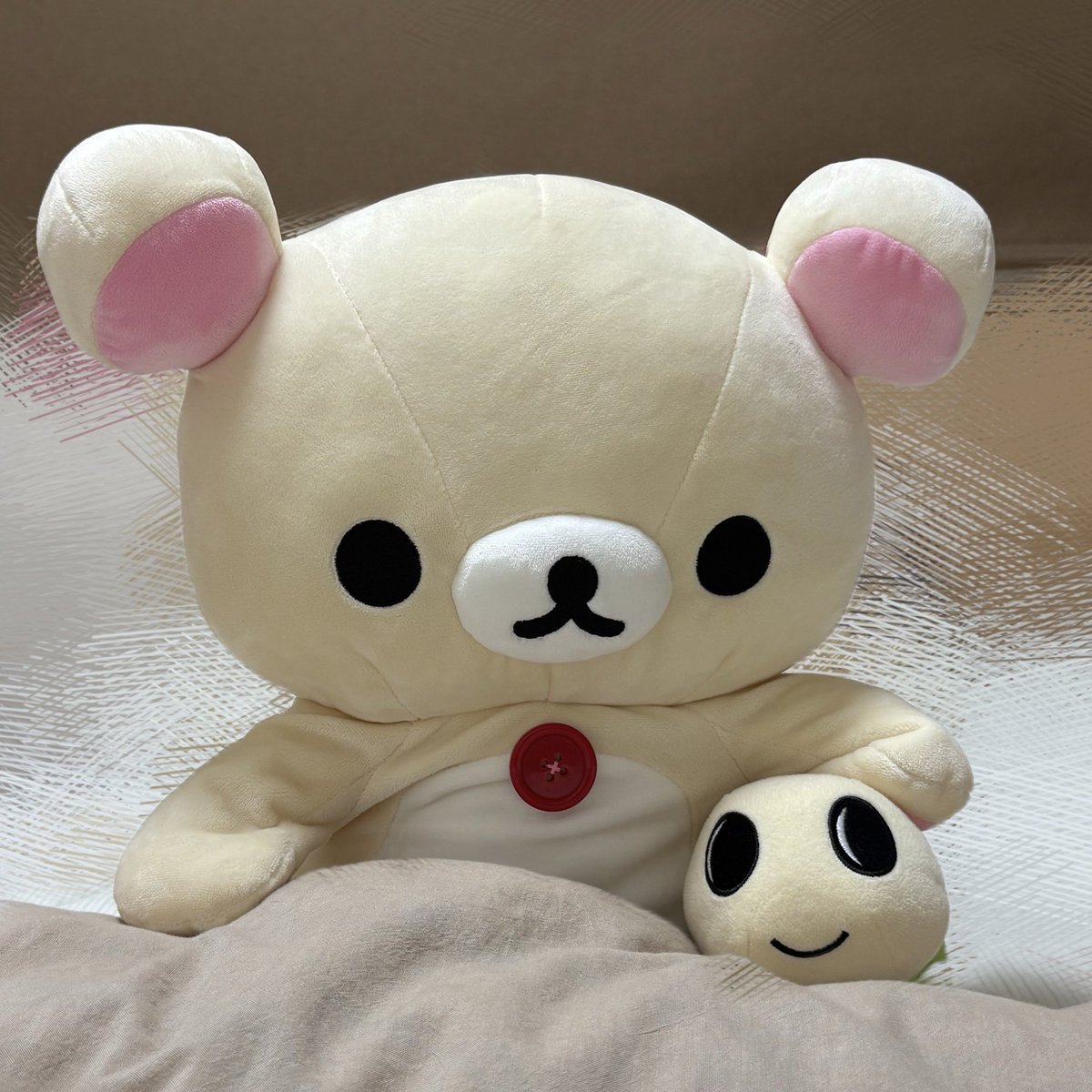 everywherenami's tweet photo. コリラックマが家に住み着いた🏠
（なみすけと共に就寝） https://t.co/BjRWpc36rd