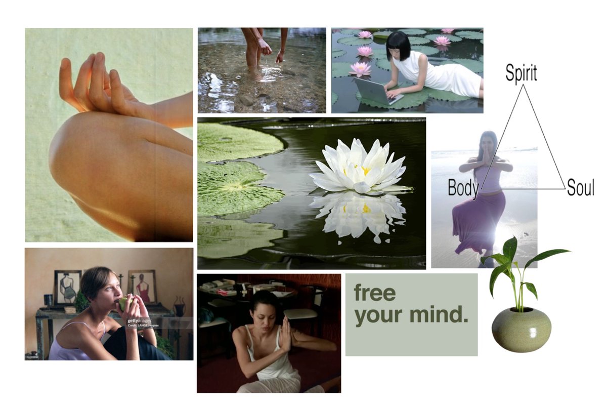 ifuliedownhere's tweet photo. No mud, no lotus 🪷 https://t.co/oKqpp59VTe